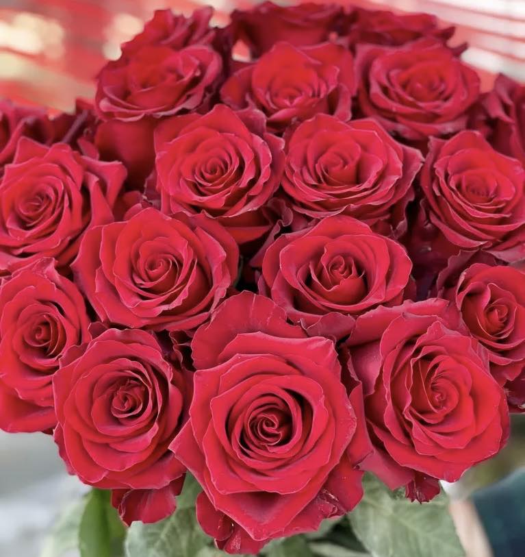 Bonne fête à toutes les mamans (25 mai 2025)