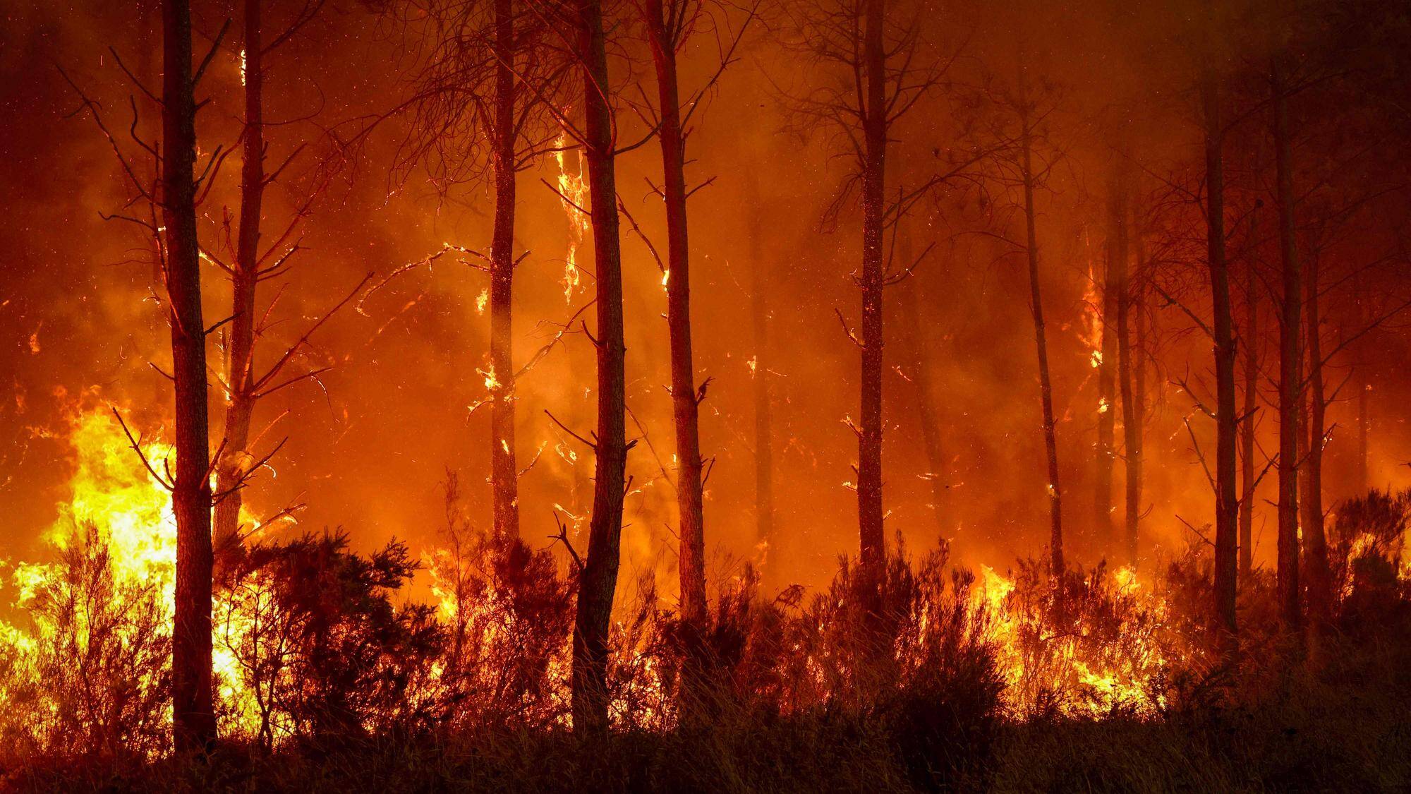 Soutien à ceux qui luttent contre les incendies (juillet 2026)
